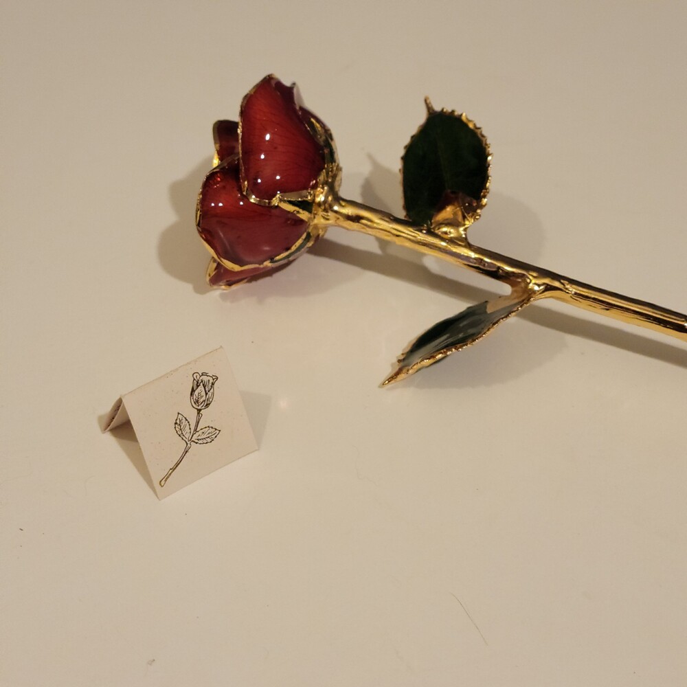 Giovanni 24k Gold Dipped Roses  Real Rose Last Forever 11 Inches
